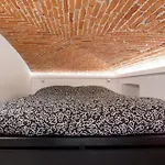 Loft Porta Susa